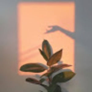 Meet your Posher, Addie